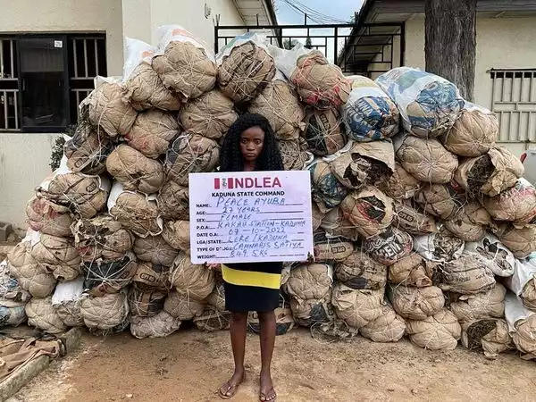 NDLEA Arrests Female Drug Dealer With 78 Bags of Cannabis (Photo)