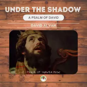 David Alvan – Under The Shadow