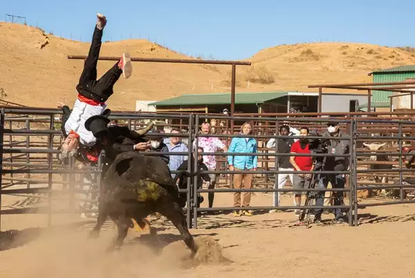 Jackass Forever Trailer Showcases Ridiculous Stunts
