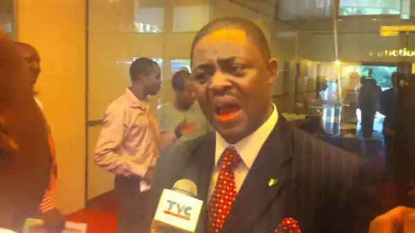 You’re Delusional – Fani-Kayode Slams PDP For Saying It Has N22.5 Notes For Vote-buying