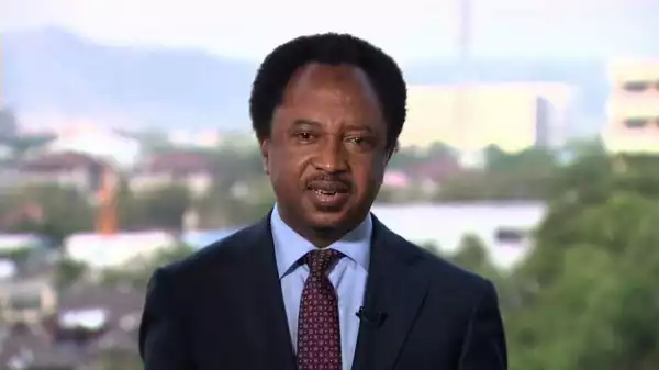 Shehu Sani resigns from opposition PRP