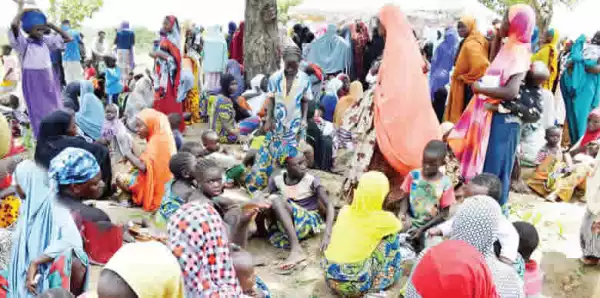 Plateau, Benue, Niger IDPs hit 548,751, FG begins emergency intervention