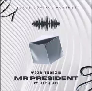 Woza Thobzin Ft. Ray & Jay – Mr President