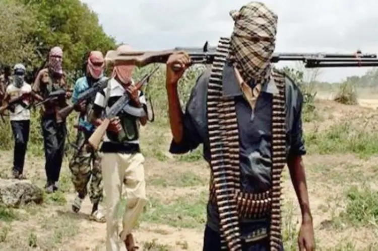 Bandits collect N6.5m to release 12 of 85 abductees in Zamfara – Local