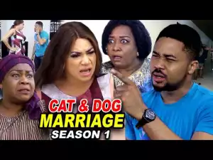 Cat & Dog Marriage Season 1