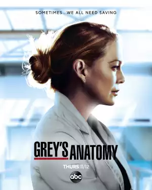 Greys Anatomy S17E11