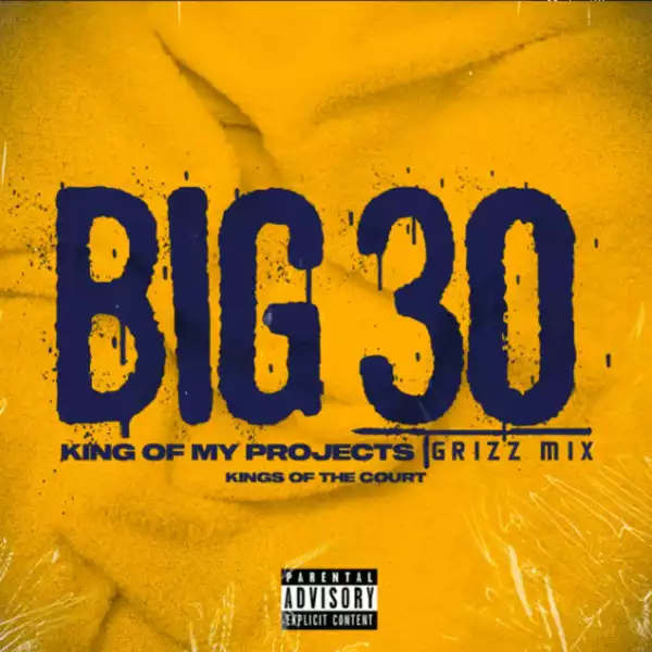 BIG30 – King Of The Projects (GrizzMix)