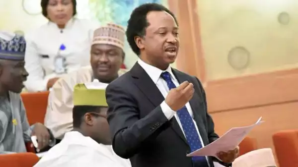 It appears ladies have more uncles than guys - Shehu Sani