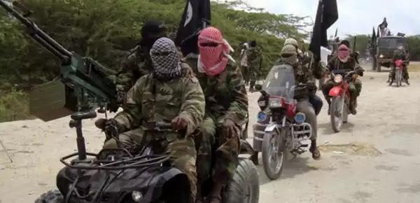 B’Haram insurgents kill 10 Borno farmers, abduct nine