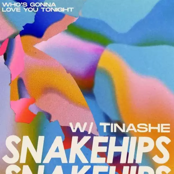 Snakehips & Tinashe – Who’s Gonna Love You Tonight (Instrumental)