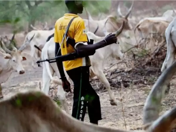 Nigerian Govt Fueling Farmers, Herders’ Crisis – Herdsmen