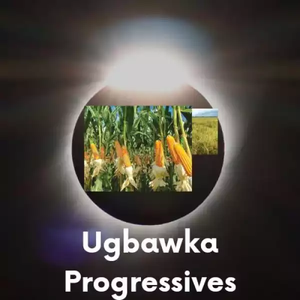 Ugbawka Progressives Extolled The Quality Representation Of Nnolim Nnaji