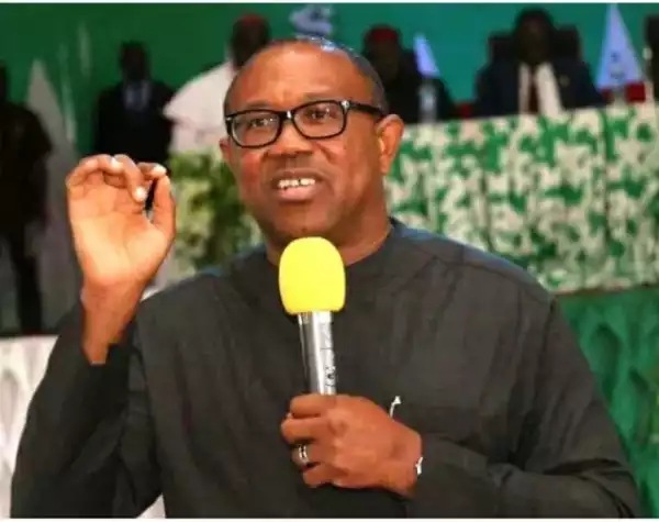 Peter Obi: I Have Not Issued Any Statement In Reply To Fr. Mbaka