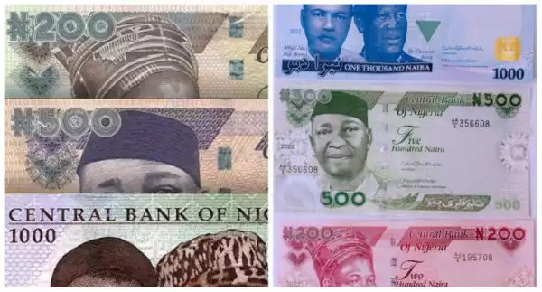 Naira Redesign: SWAGA Wants Old, New Notes To Co-exist Until After Elections