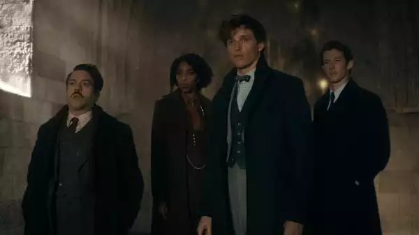 David Yates Says Fantastic Beasts Franchise is Paused For Now
