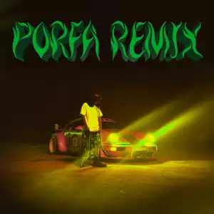Feid Ft. J Balvin, Maluma, Nicky Jam, Sech & Justin Quiles – PORFA (Remix)