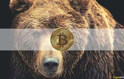 Bitcoin Bear Market Fears Sparked by Institutional Outflows and Whale Capitulation