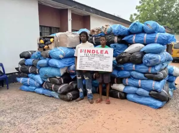 NDLEA Arrests Insurgents Drug Supplier, Intercepts 7.6 Tons Of Illicit Drugs In Borno, Nasarawa