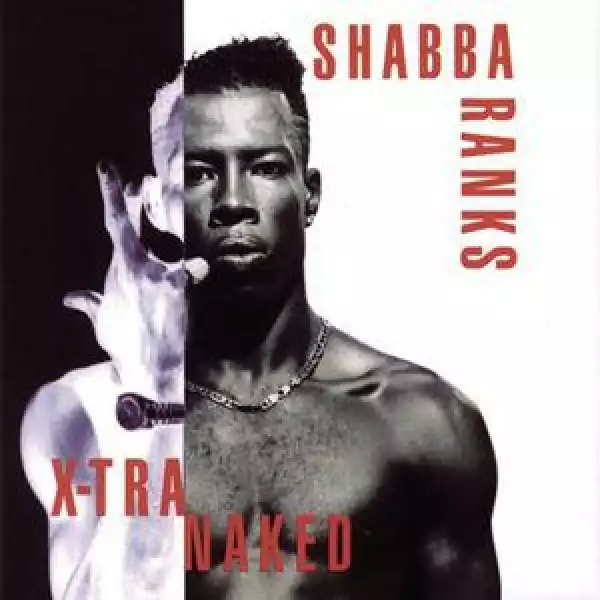 Best of Shabba Ranks Mixtape
