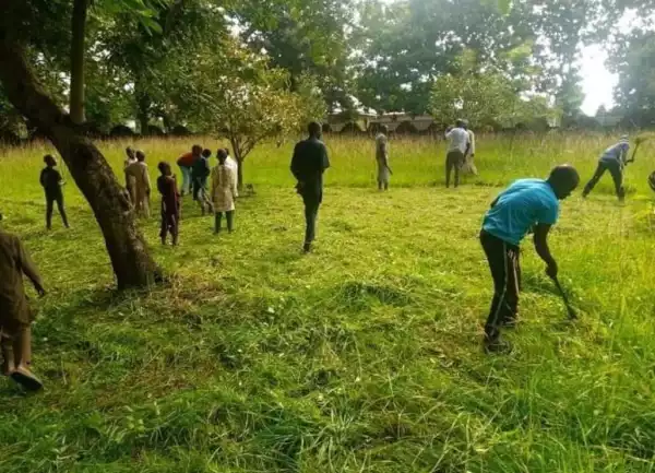 Christians Join Muslims To Clear Grass At Kaduna Mosque Ahead Of Sallah