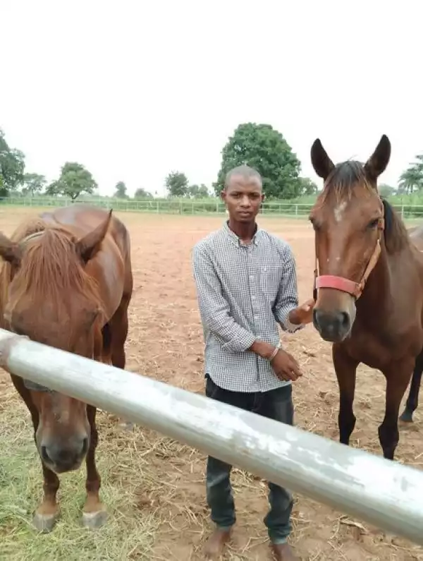 Police Arrest Man For Stealing Two Horses In Niger State