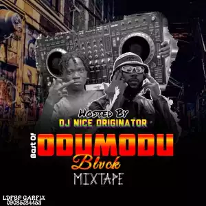 DJ Nice Originator – Best Of Odumodublvck Mixtape