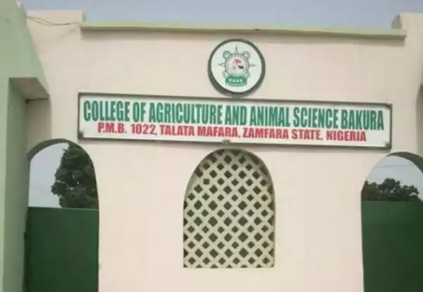 BREAKING NEWS! Zamfara College Of Agriculture Abduction: Full List Of Students, Staff Kidnapped