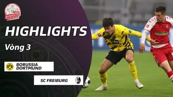 Dortmund vs SC Freiburg 4 - 0 | Bundesliga All Goals And Highlights (03-10-2020)