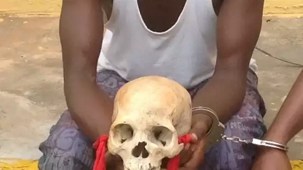 Police nab 3 with human skull in Lagos