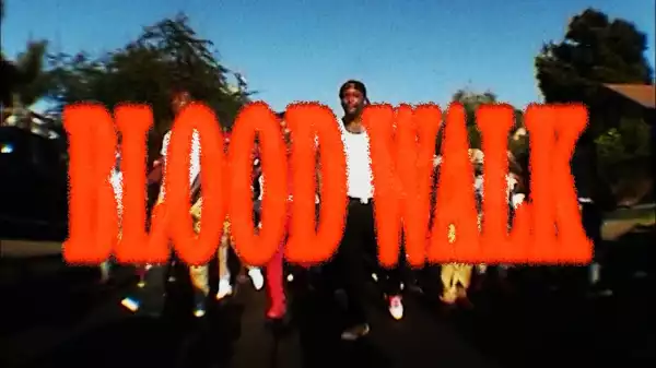 YG - Blood Walk Ft. Lil Wayne & D3szn (Video)