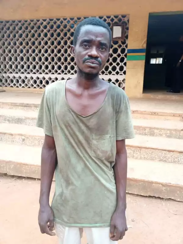 Face Of 27-Year-Old Man Who Macheted 50-Year-Old Woman To Death In Ogun, Cut Off Her Hands