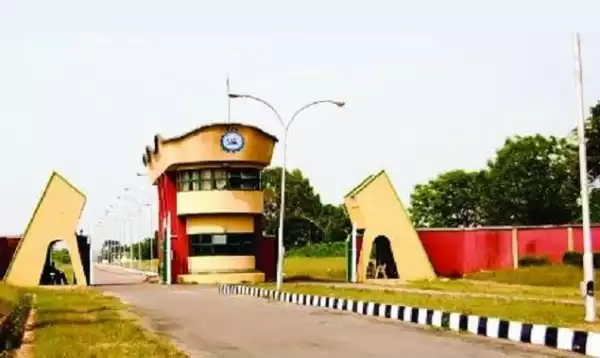 Ogun Poly Student Commits Su*icide After Losing School Fees To Gambling
