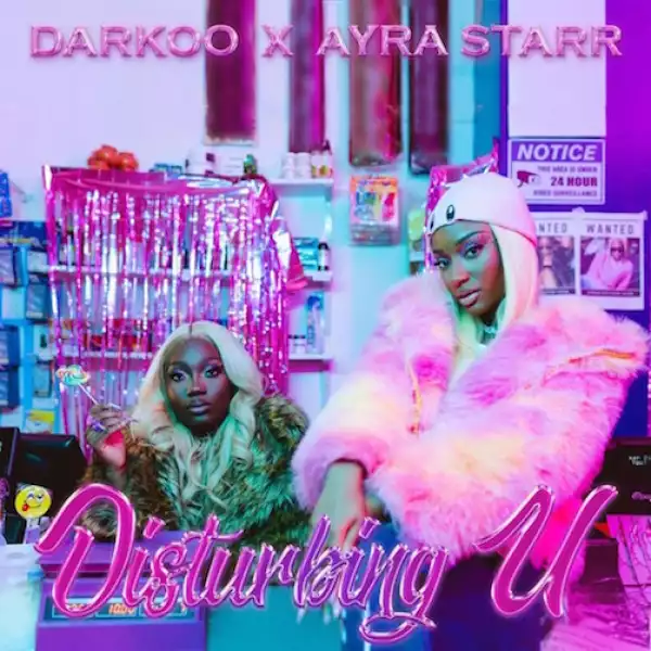 Darkoo – Disturbing U Ft. Ayra Starr (Instrumental)