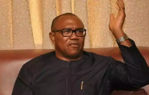 Sultan Of Sokoto Lived In The House I Built As A Student In Enugu. Peter Obi