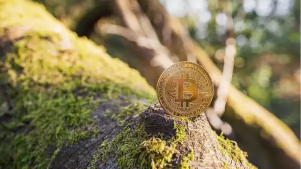 Cryptocurrency Likely to Be More Environmentally Friendly Than Traditional Banks – Press release Bitcoin News