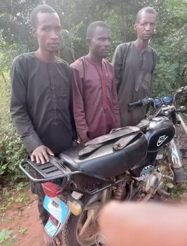 Suspected Kidnappers Arrested In Ogun Forest