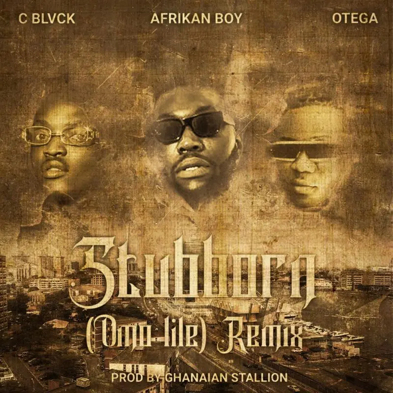 Afrikan Boy – Stubborn (Omo Lile) (Remix) ft. C Blvck & Otega