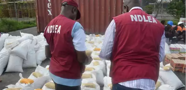 Akwa Ibom: 239 drug traffickers arrested in 10-months