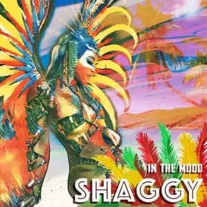 Shaggy - In The Mood (EP)