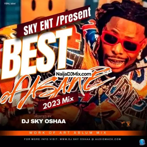 DJ Sky Oshaa – Best of Asake (Work of Art Album Mix)