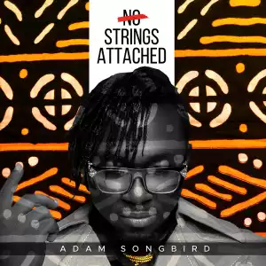 Adam Songbird – Terms And Conditions ft. Wales