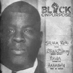 Salaam Remi - Black On Purpose Intro (feat. Malcom X)