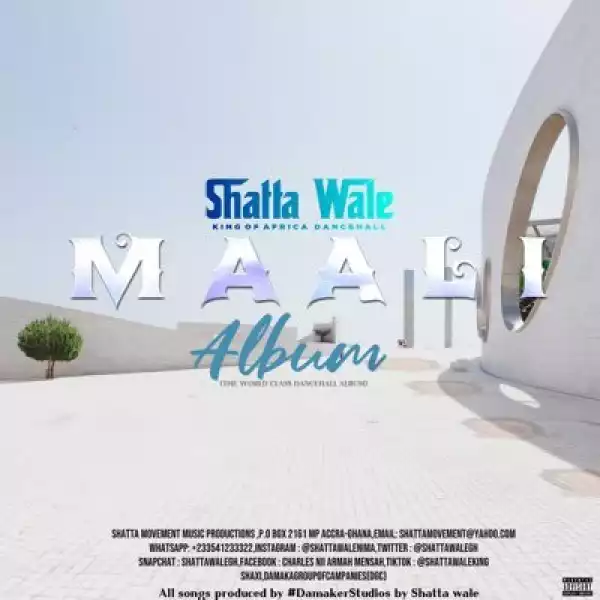 Shatta Wale – Show Mi