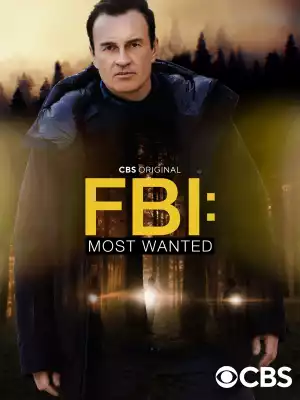 FBI Most Wanted S03E13