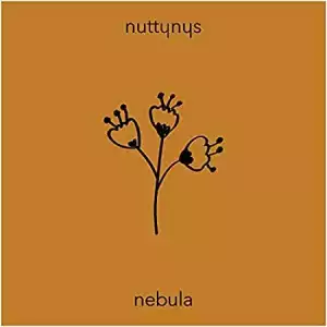 Nutty Nys – Nebula