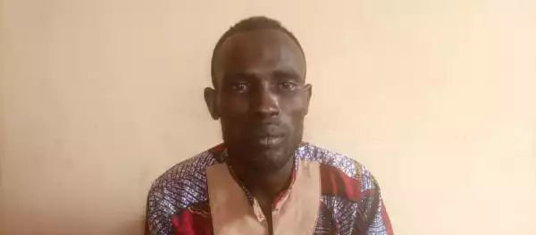 Serial Child R3pist Finally Arrested in Osun (Photo)