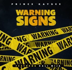Prince Kaybee - Warning Signs ft Kali Mija