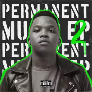 Dlala Thukzin – Permanent Music 2 (EP)