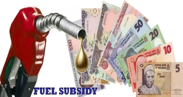 Subsidy Removal: Filling stations in Minna closed down 2 hrs after Tinubu’s pronouncement