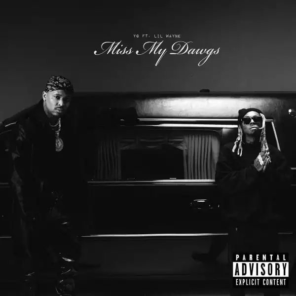 YG, Lil Wayne - Miss My Dawgs